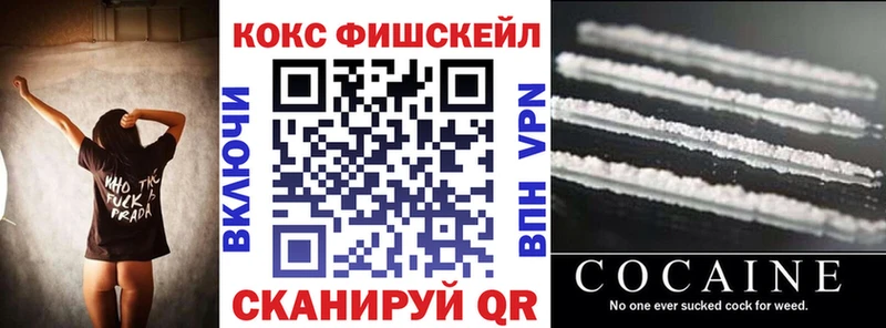 Купить  Бакал  Cocaine 99% 
