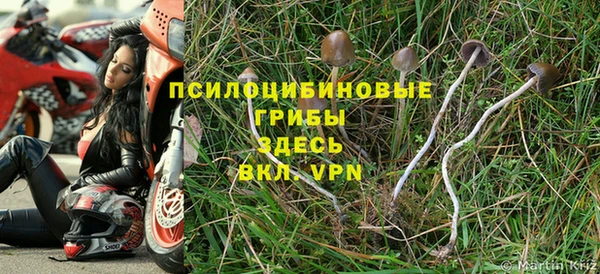 не бодяженный Краснотурьинск